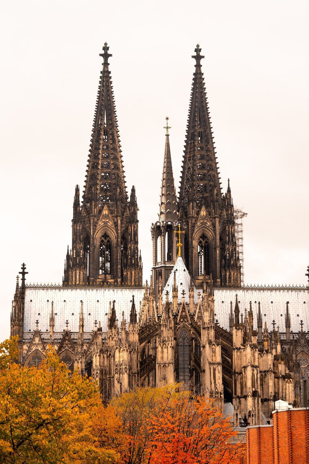 wasserbett_koeln